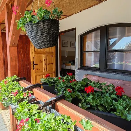 Siedlisko Pomalenku * Zarnowska