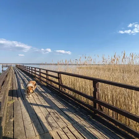 شقة Siedlisko Pomalenku Zarnowska