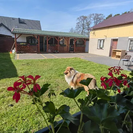 شقة Siedlisko Pomalenku Zarnowska