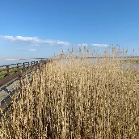 Siedlisko Pomalenku *