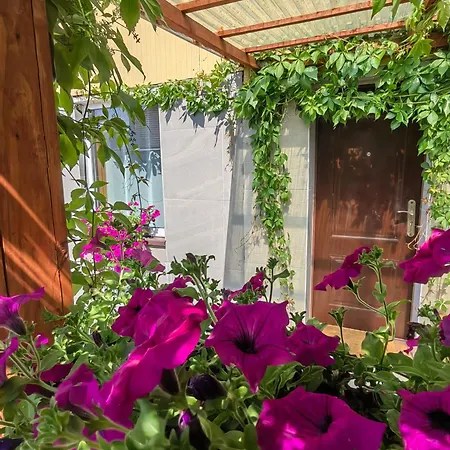 Siedlisko Pomalenku דירה *