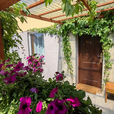 Siedlisko Pomalenku * Zarnowska