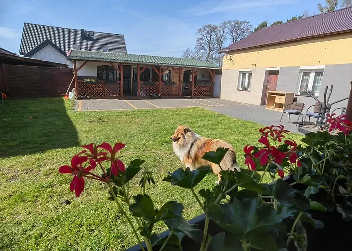 Lägenhet Siedlisko Pomalenku Zarnowska