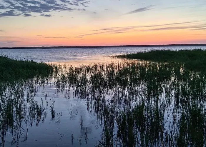 Siedlisko Pomalenku Zarnowska
